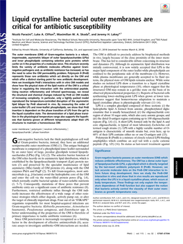 Liquid Crystalline Bacterial Outer Membranes Are Critical for Antibiotic Susceptibility