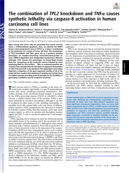 The Combination of TPL2 Knockdown and Tnfα Causes Synthetic Lethality Via Caspase-8 Activation in Human Carcinoma Cell Lines