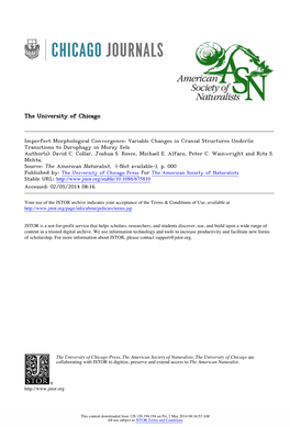 Variable Changes in Cranial Structures Underlie Transitions to Durophagy in Moray Eels