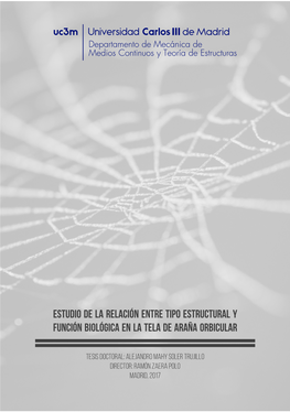 Estudio De La Relación Entre Tipo Estructural Y Función Biológica En La Tela De Araña Orbicular