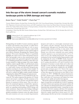 Breast Cancer's Somatic Mutation Landscape Points to DNA Damage