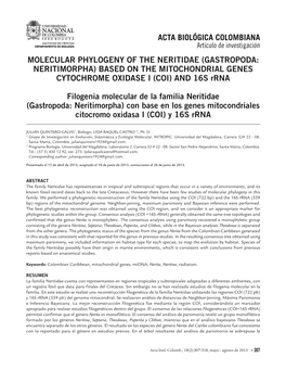 MOLECULAR PHYLOGENY of the NERITIDAE (GASTROPODA: NERITIMORPHA) BASED on the MITOCHONDRIAL GENES CYTOCHROME OXIDASE I (COI) and 16S Rrna