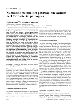 Nucleotide Metabolism Pathway: the Achilles' Heel for Bacterial Pathogens