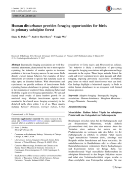 Human Disturbance Provides Foraging Opportunities for Birds in Primary Subalpine Forest