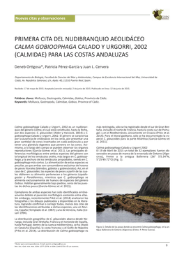 Primera Cita Del Nudibranquio Aeolidáceo Calma Gobioophaga Calado Y Urgorri, 2002 (Calmidae) Para Las Costas Andaluzas