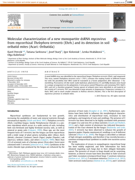 Molecular Characterization of a New Monopartite Dsrna Mycovirus from Mycorrhizal Thelephora Terrestris