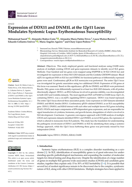 Expression of DDX11 and DNM1L at the 12P11 Locus Modulates Systemic Lupus Erythematosus Susceptibility