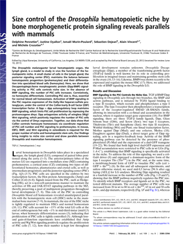 Size Control of the Drosophila Hematopoietic Niche by Bone Morphogenetic Protein Signaling Reveals Parallels with Mammals