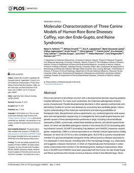 Molecular Characterization of Three Canine Models of Human Rare Bone Diseases: Caffey, Van Den Ende-Gupta, and Raine Syndromes