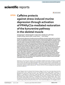 Caffeine Protects Against Stress-Induced Murine Depression