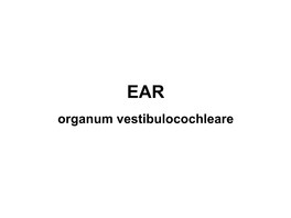 Organum Vestibulocochleare INTERNAL EAR MIDDLE EAR EXTERNAL EAR PETROSAL BONE- Eq EXTERNAL EAR AURICLE