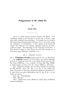 Polygonaceae of the Island Iki