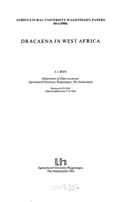 Dracaena in West Africa