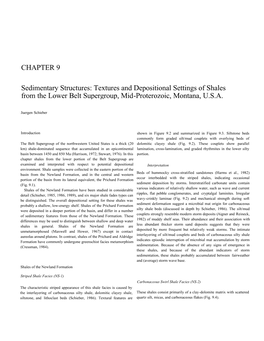 CHAPTER 9 Sedimentary Structures: Textures and Depositional Settings