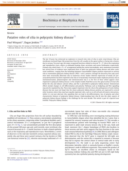 Putative Roles of Cilia in Polycystic Kidney Disease☆