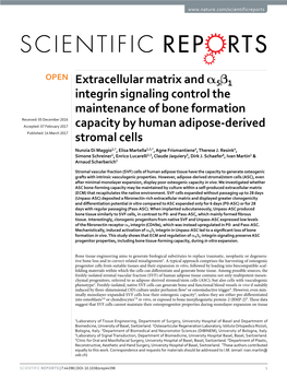 Extracellular Matrix and Α5β1 Integrin Signaling Control the Maintenance