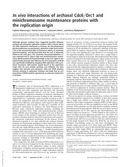 In Vivo Interactions of Archaeal Cdc6 Orc1 and Minichromosome