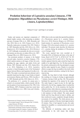 Predation Behaviour of Leptodeira Annulata Linnaeus, 1758 (Serpentes: Dipsadidae) on Physalaemus Cuvieri Fitzinger, 1826 (Anura, Leptodactylidae)