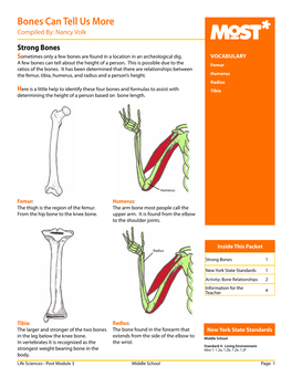 Bones Can Tell Us More Compiled By: Nancy Volk