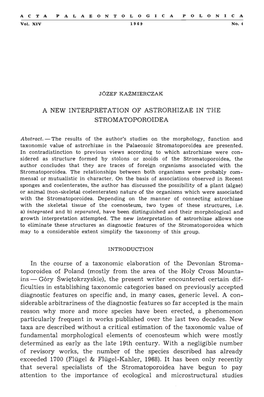 A New Interpretation of Astrorhizae in the Stromatoporoidea