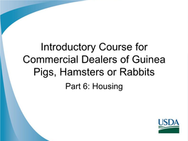 Introductory Course for Commercial Dealers of Guinea Pigs, Hamsters