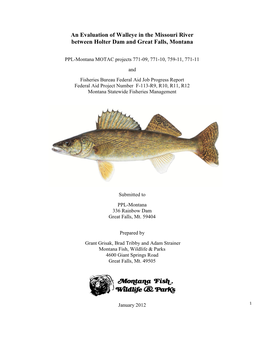 An Evaluation of Walleye in the Missouri River Between Holter Dam and Great Falls, Montana