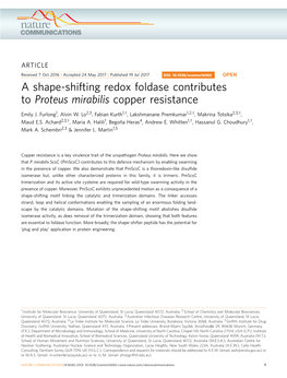 A Shape-Shifting Redox Foldase Contributes to Proteus Mirabilis Copper Resistance