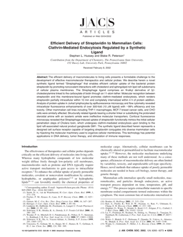 Efficient Delivery of Streptavidin to Mammalian Cells: Clathrin-Mediated Endocytosis Regulated by a Synthetic Ligand Stephen L