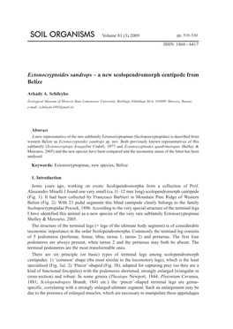 A New Scolopendromorph Centipede from Belize