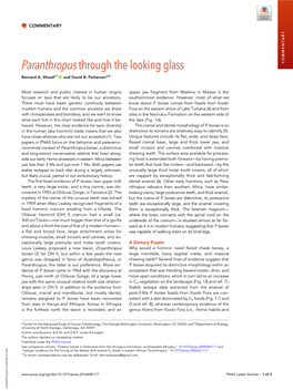 Paranthropus Through the Looking Glass COMMENTARY Bernard A