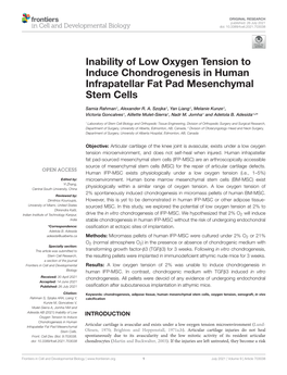 Inability of Low Oxygen Tension to Induce Chondrogenesis in Human Infrapatellar Fat Pad Mesenchymal Stem Cells