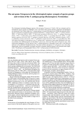 The Ant Genus Tetraponera in the Afrotropical Region: Synopsis of Species Groups and Revision of the T