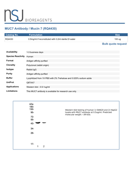 MUC7 Antibody / Mucin 7 (RQ4430)