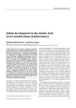 Infant Development in the Slender Loris (Loris Lydekkerianus Lydekkerianus)