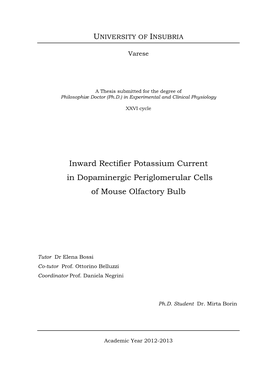 Inward Rectifier Potassium Current in Dopaminergic Periglomerular Cells of Mouse Olfactory Bulb