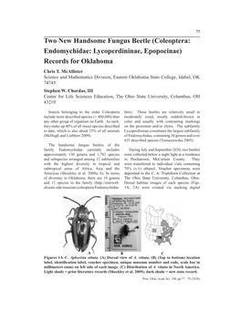 Two New Handsome Fungus Beetle (Coleoptera: Endomychidae: Lycoperdininae, Epopocinae) Records for Oklahoma Chris T