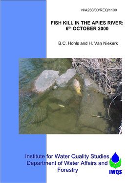 FISH KILL in the APIES RIVER: 6Th OCTOBER 2000
