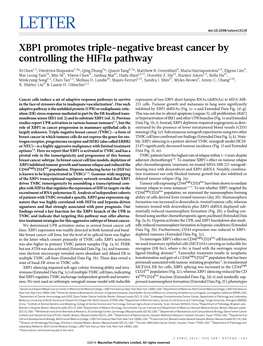 XBP1 Promotes Triple-Negative Breast Cancer by Controlling the Hif1a Pathway