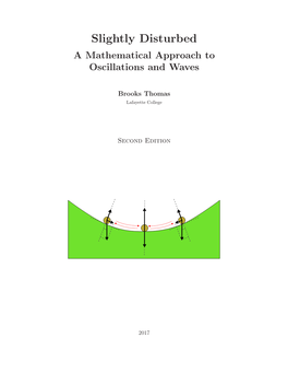 Slightly Disturbed a Mathematical Approach to Oscillations and Waves