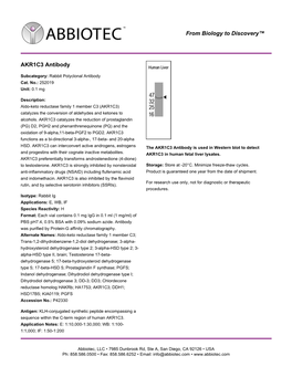 AKR1C3 Antibody