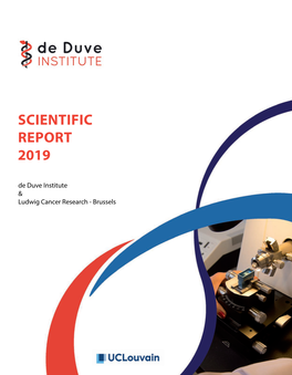 Annual Report DDUV 2019