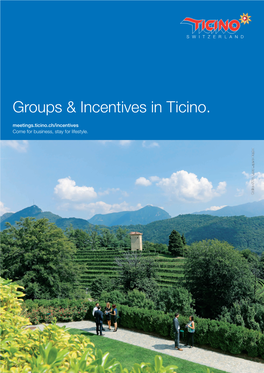 Groups & Incentives in Ticino