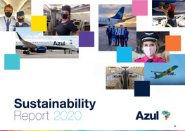 Sustainability Report 2020