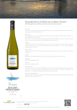 Muscadet Sèvre Et Maine Sur Lie Blanc 