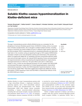 Soluble Klotho Causes Hypomineralization in Klotho-Deficient Mice