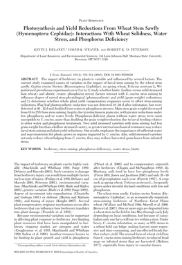 Photosynthesis and Yield Reductions from Wheat Stem Sawﬂy (Hymenoptera: Cephidae): Interactions with Wheat Solidness, Water Stress, and Phosphorus Deﬁciency