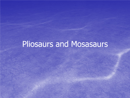 Mosasaurs Continuing from Last Time…