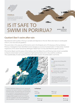 Is It Safe to Swim in Porirua?