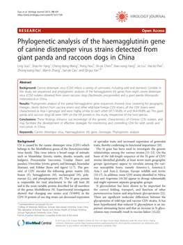 Phylogenetic Analysis of the Haemagglutinin Gene of Canine