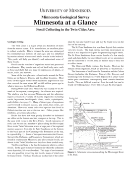 Minnesota at a Glance Fossil Collecting in the Twin Cities Area